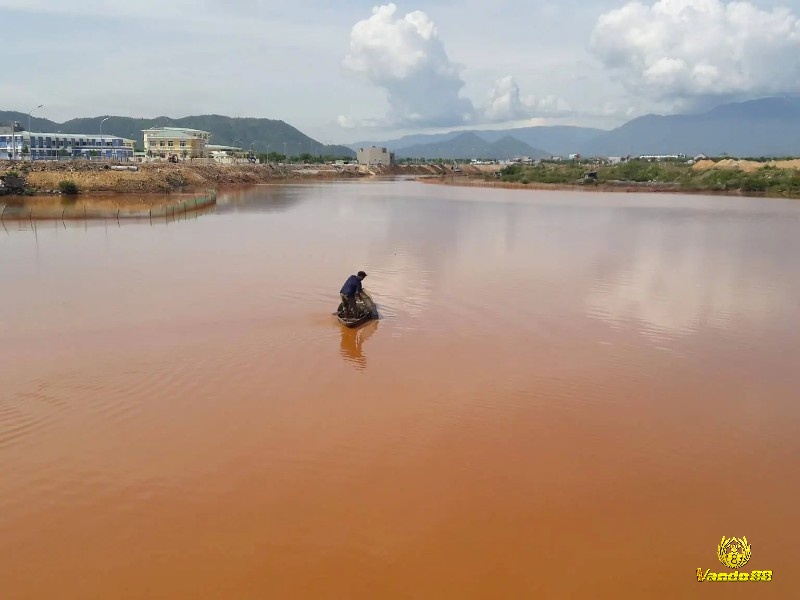 Mơ thấy nước đục hãy quan tâm đến những mối quan hệ xung quanh mình