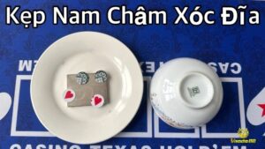 Kẹp nam châm xóc đĩa - Công cụ tối ưu hiệu suất đặt cược