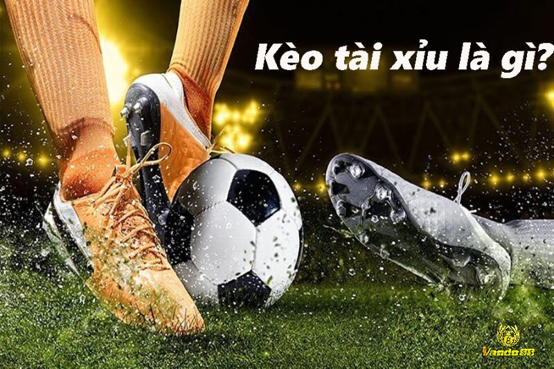 Nắm vững cách đọc các cửa kèo phổ biến là nền tảng để tham gia cá cược tài xỉu một cách chuyên nghiệp.